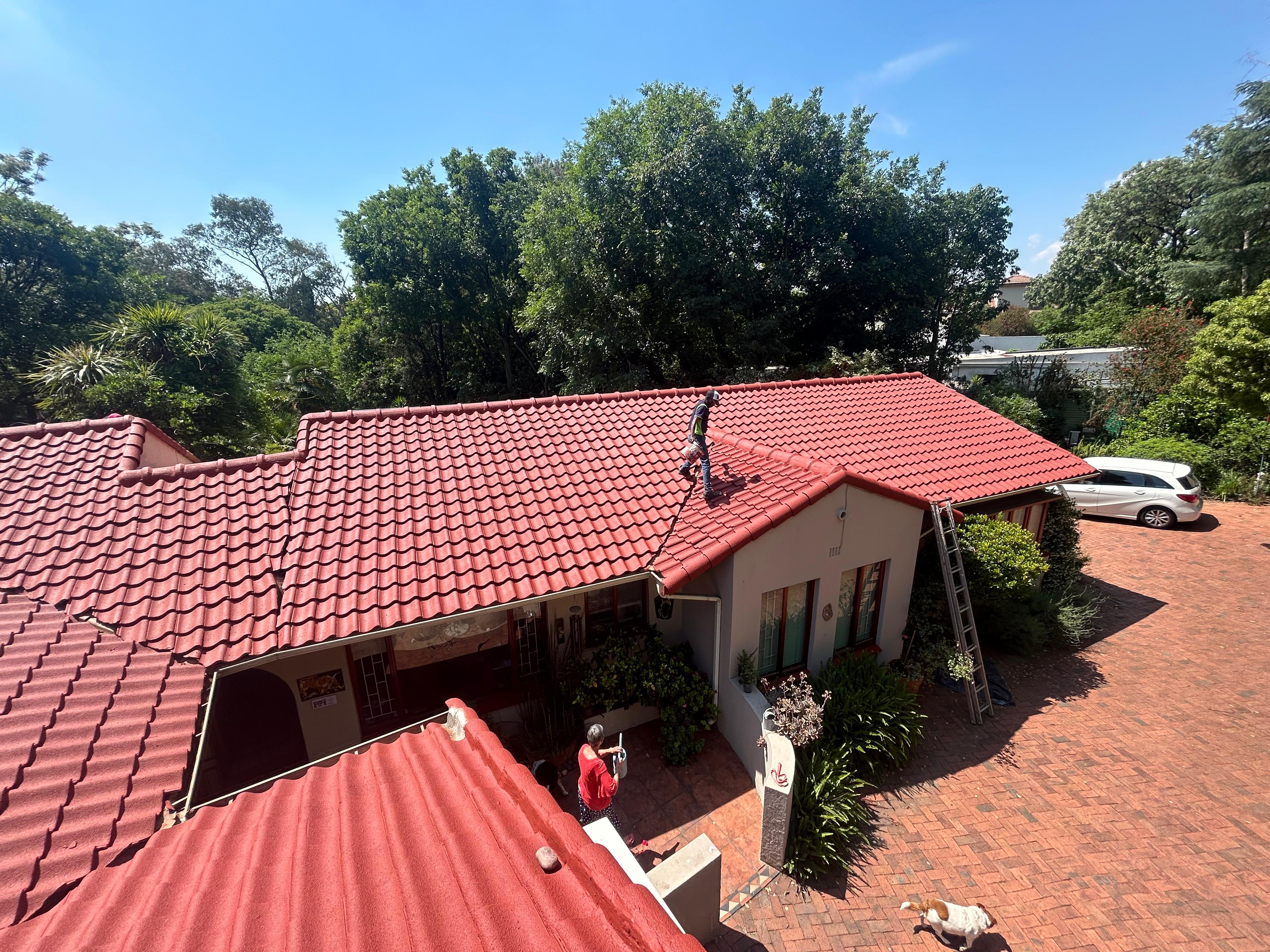 Site 1 - Tiled Roof after photo 2